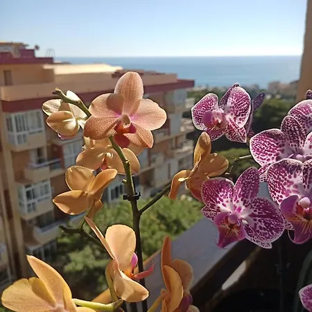 Sweet Benalmadena, Estudio Con Vistas Al Mar Y Excelente Conexion Wifi, No Fumadores, Con Piscinas, Sea Views, With Swimming Pools, Completely Renovated, Ideal For Older People, Bright With Morning Sun, No Smoking *