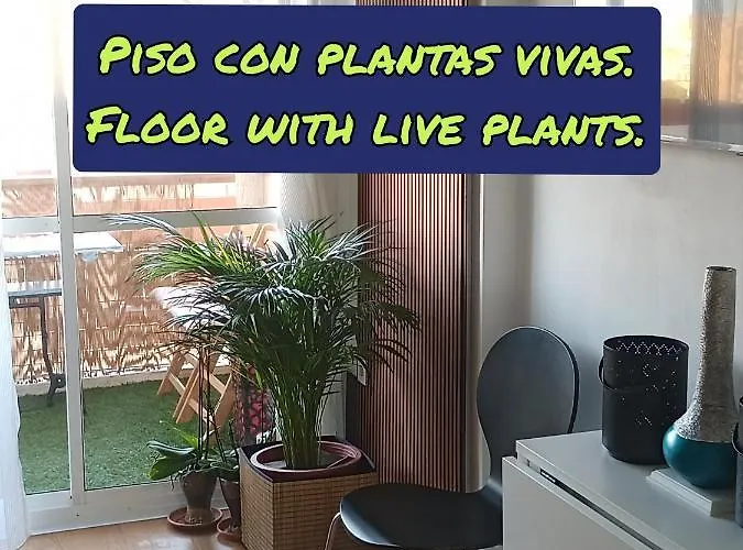 Sweet Estudio No Fumadores Con Vistas Al Mar Y Excelente Conexion Wifi Non Smoking With Sea Views And Excellent Wifi Enjoy Plenty Of Morning Sun Apartament *